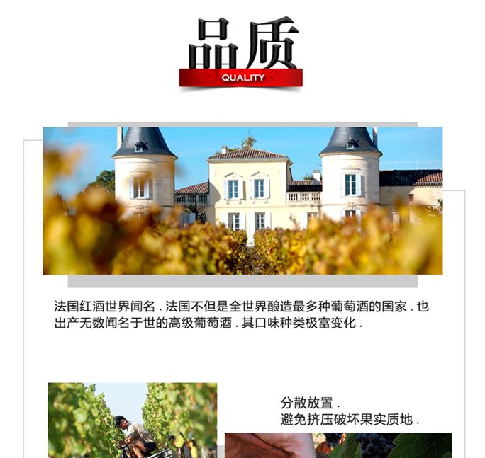 詳情_朗格多克_B_3_01