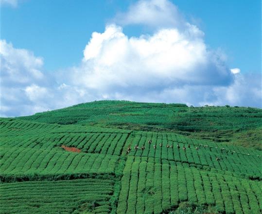 72d0498c109a36d1a04f2266282fe789_b