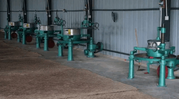 88E68E69AA5A78C3ECD6DC74FAE59BE1