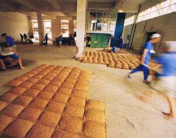 E05EC1DC5867254FC00A386123E5065D