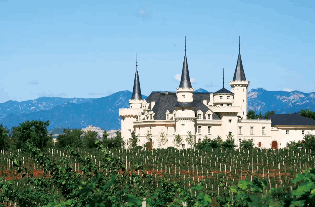 3660B634AD361A760847704DC2CBB85F