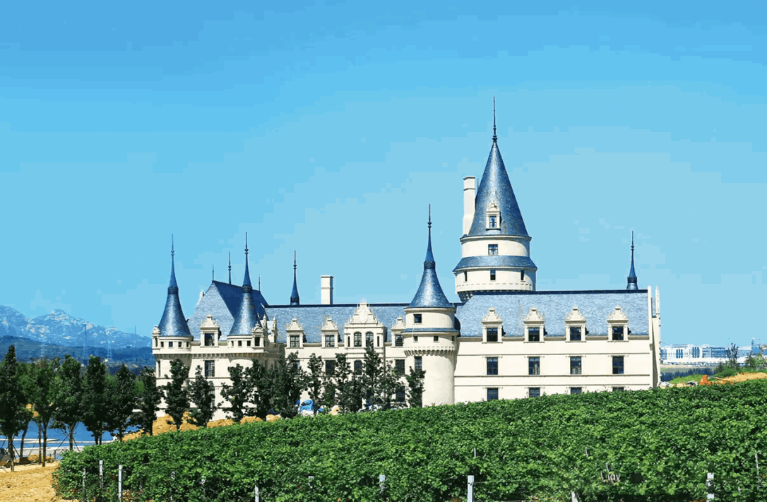 735F5ECF801A295F2404718260BACF85