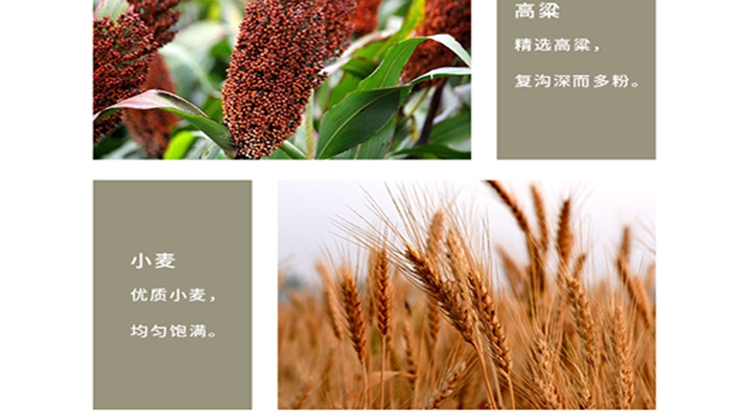 2022年10月360推廣二級頁面_9_1